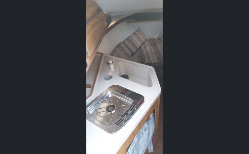 Sea Ray Selville 21 MC-kuva-3